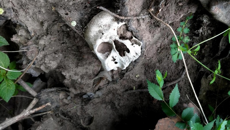 При археологическом обследовании территории обнаружен череп человека
